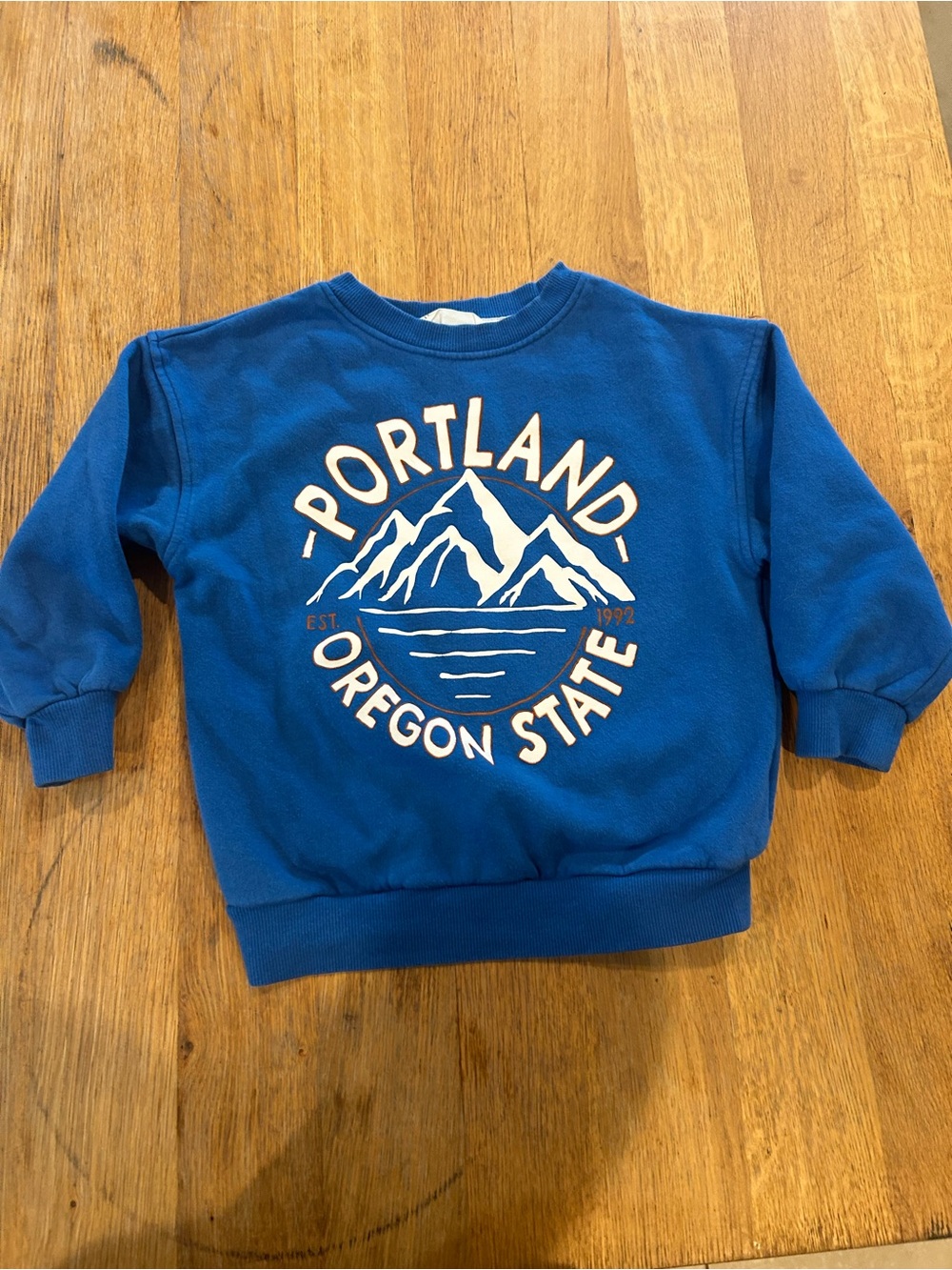 H&M Blue Kids Sweatshirt with Portland Oregon State Mountain Graphic